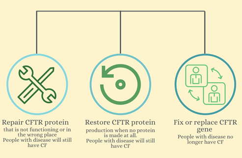Figure 1: Three different approaches to relieve or cure CF. Modulators repair the CFTR protein, RNA therapy restores the protein, and gene editing and transfer could fix and replace the CFTR gene.