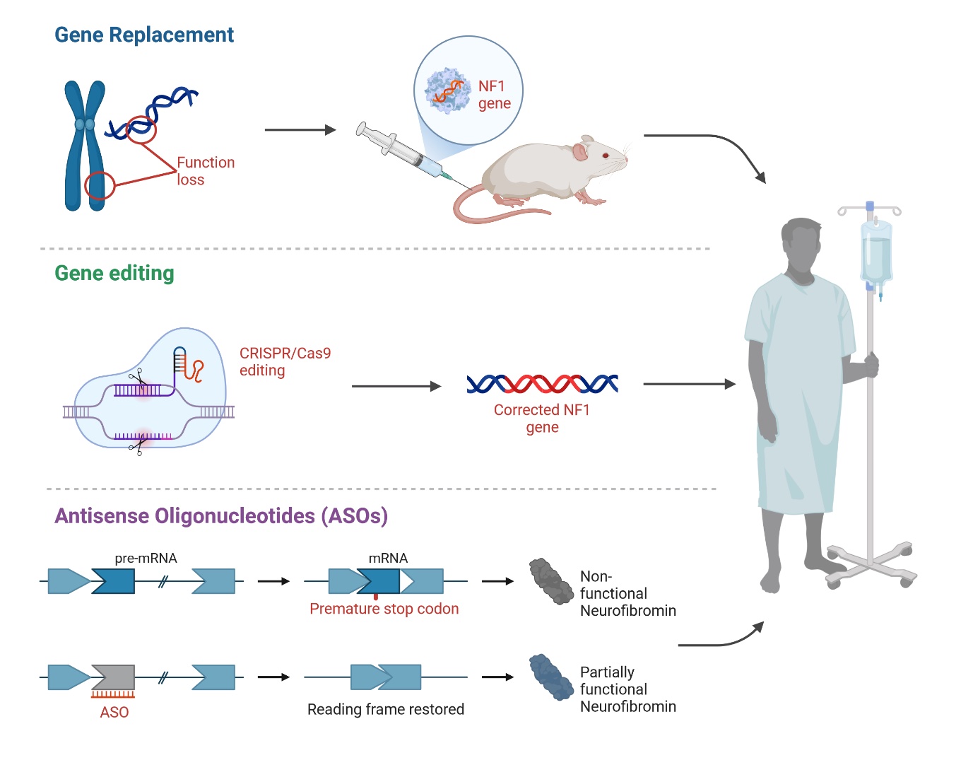 Gene Replacement