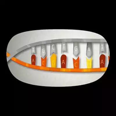 Illustration of a DNA molecule