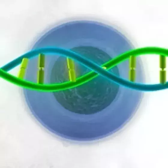 Video thumbnail image for Making Sense of the Human Genome