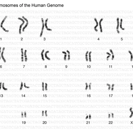 Genome illustrated