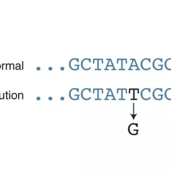 Process of substitution illustrated